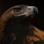 Profile photo of eagle casino player Amanda T from Phoenix Arizona